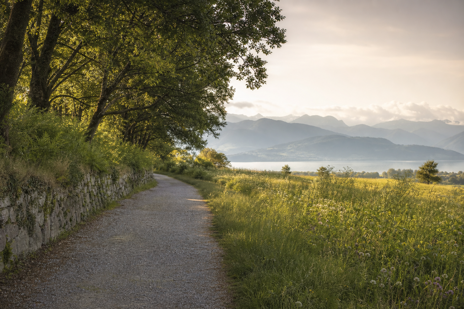 Ruhiger Naturweg mit weitem Blick als Symbol für Walk-and-Talk-Coaching